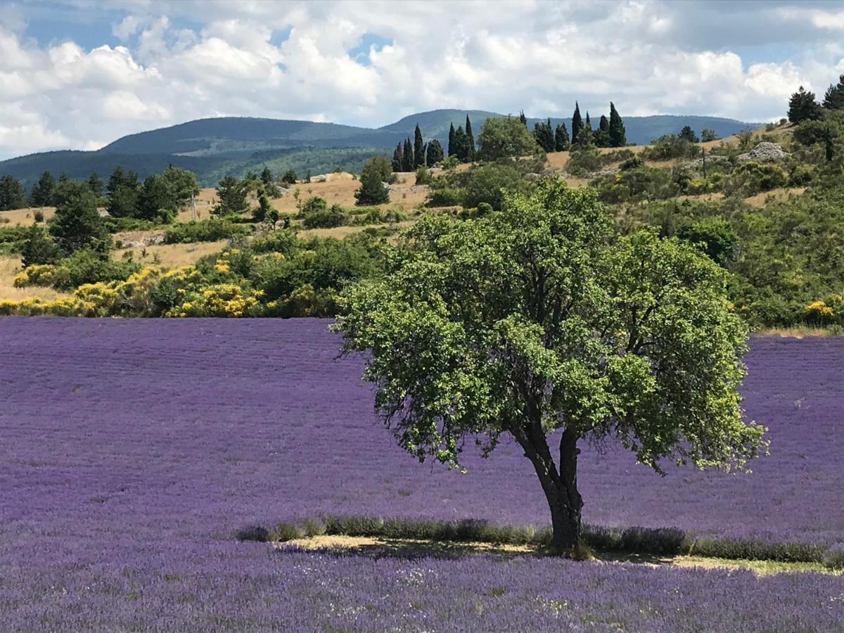 לינה וארוחת בוקר בדואן Oustau Du Ventoux מראה חיצוני תמונה